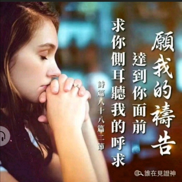 主爱如故