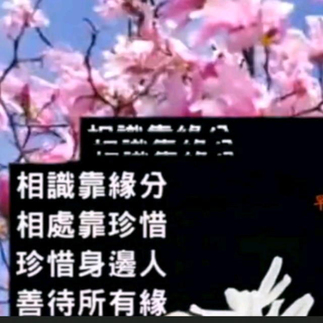 谢谢你真心陪着我(dj宇轩remix吉特巴版)