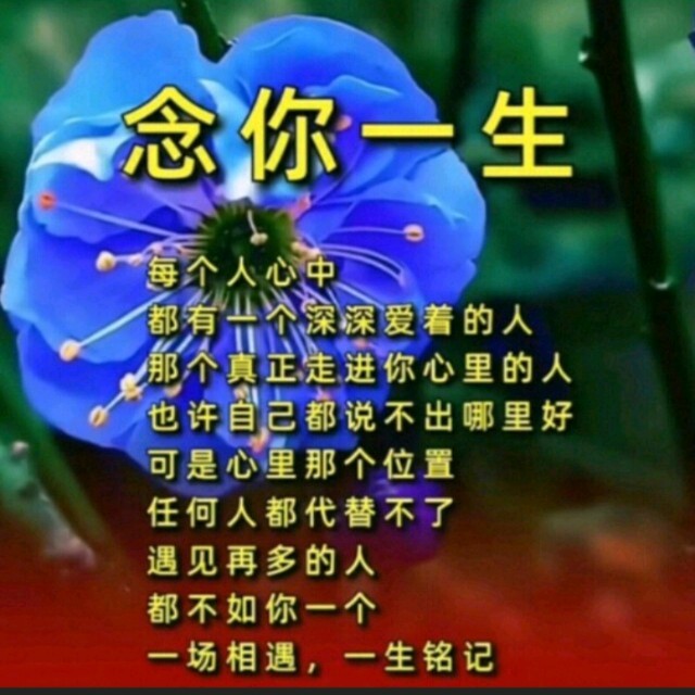 余生有你就足够的句子图片