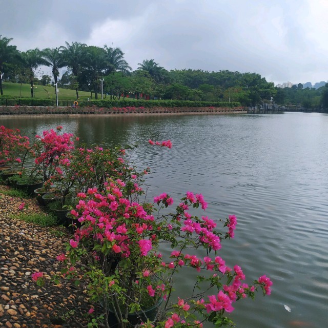 【花鼓戲】《補鍋》手拉風箱